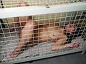 変態願望 股縄婦人　サンプル画像07